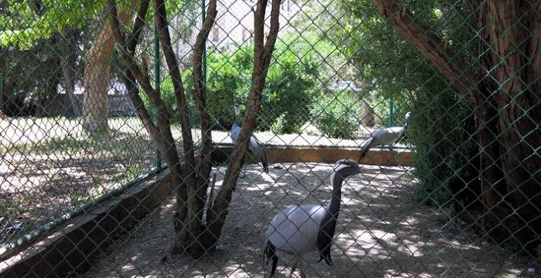 حدائق عمان الاردن