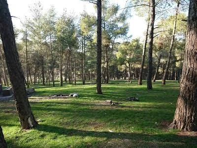 منتزه عمان القومي