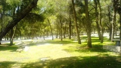 منتزه عمان القومي