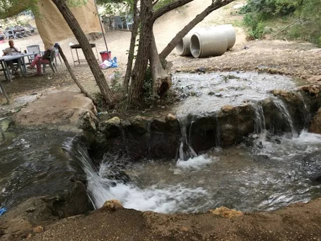 منتزه نبع البحاث