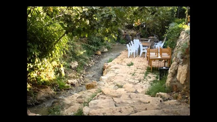 منتزه نبع البحاث