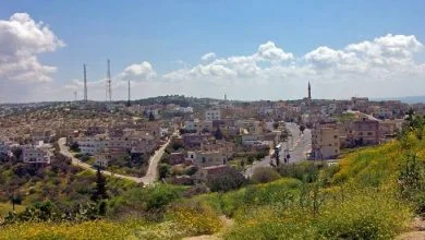 شارع الثلاثين اربد
