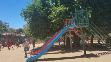 حديقة الطيور عمان
