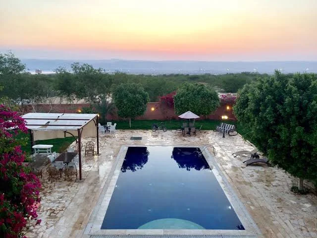 مزارع في البحر الميت