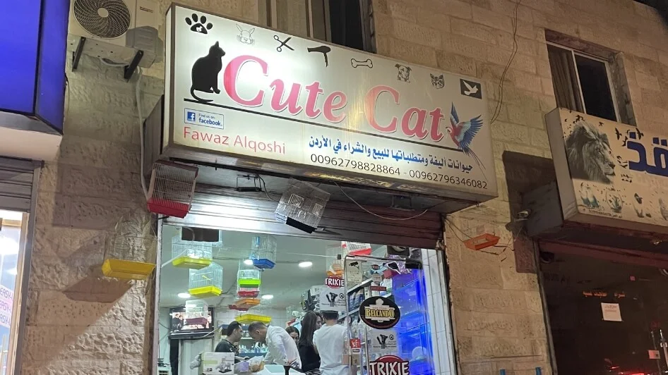 محل Cute Cat pet shop