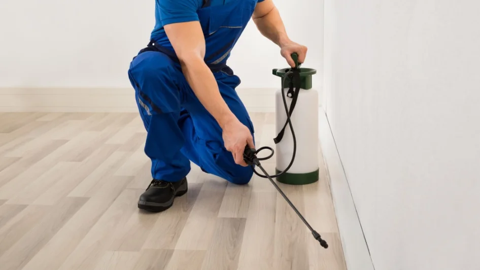 شركة Clean Master Co