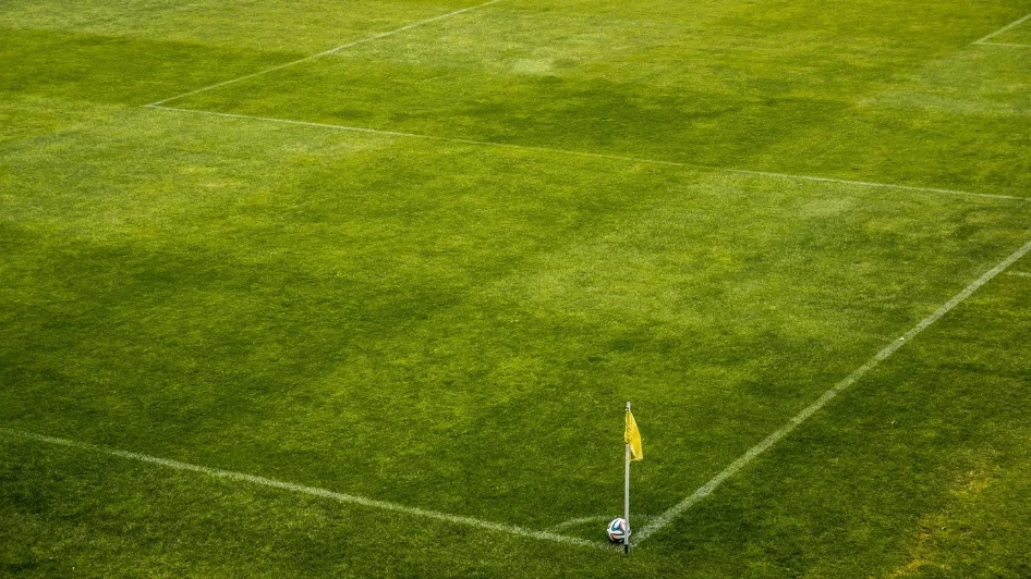 ملاعب كلية المجتمع العربي