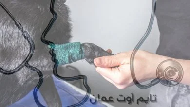 أفضل عيادة بيطرية في عمان