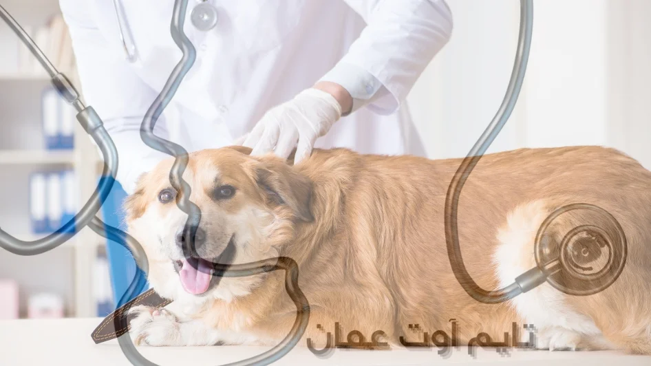 عيادة Dr. Yasmeen's Vet Clinic