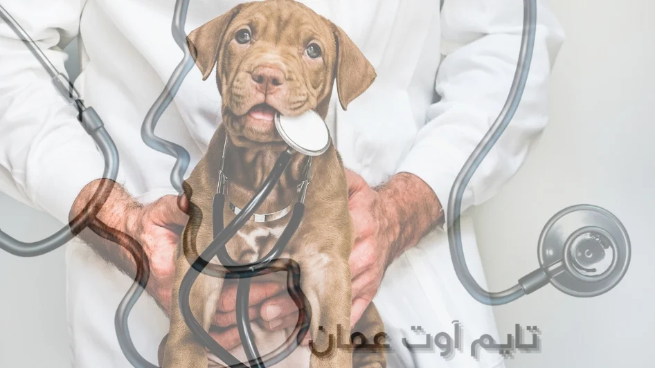 عيادة Eagles Vet Clinic And Pet Hotel