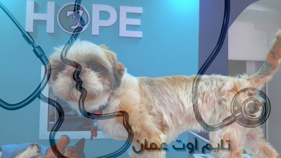 عيادة Hope veterinary clinic