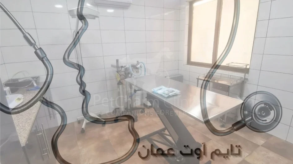 عيادة PetCharm Clinic veterinary Clinic Abdoun