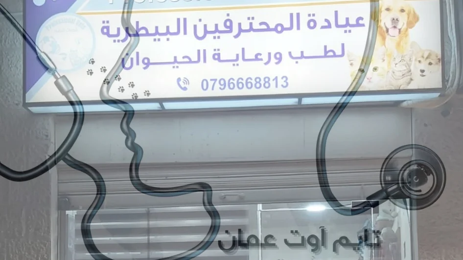 عيادة المحترفين البيطرية